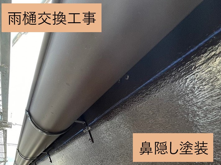 雨樋　鼻隠し塗装完了